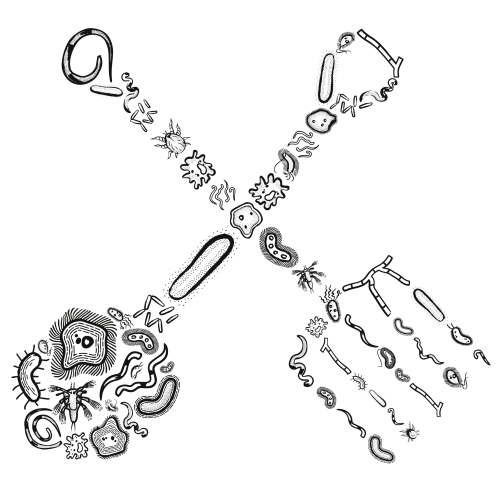 Fork & Shovel Fork & Shovel